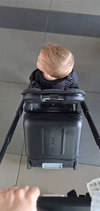 Nuevo Cochecito - Carry On TernX